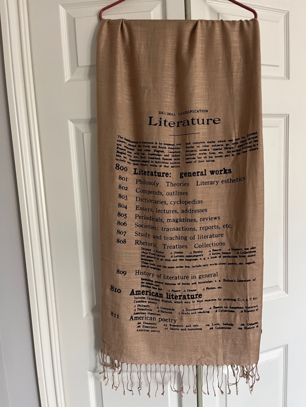 D & G Pashmina Literature Print Scarf